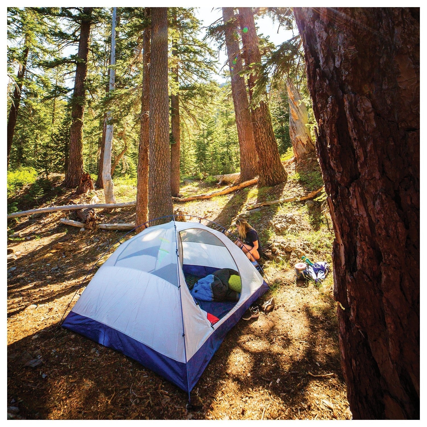 ALPS Mountaineering Lynx 2 Tent