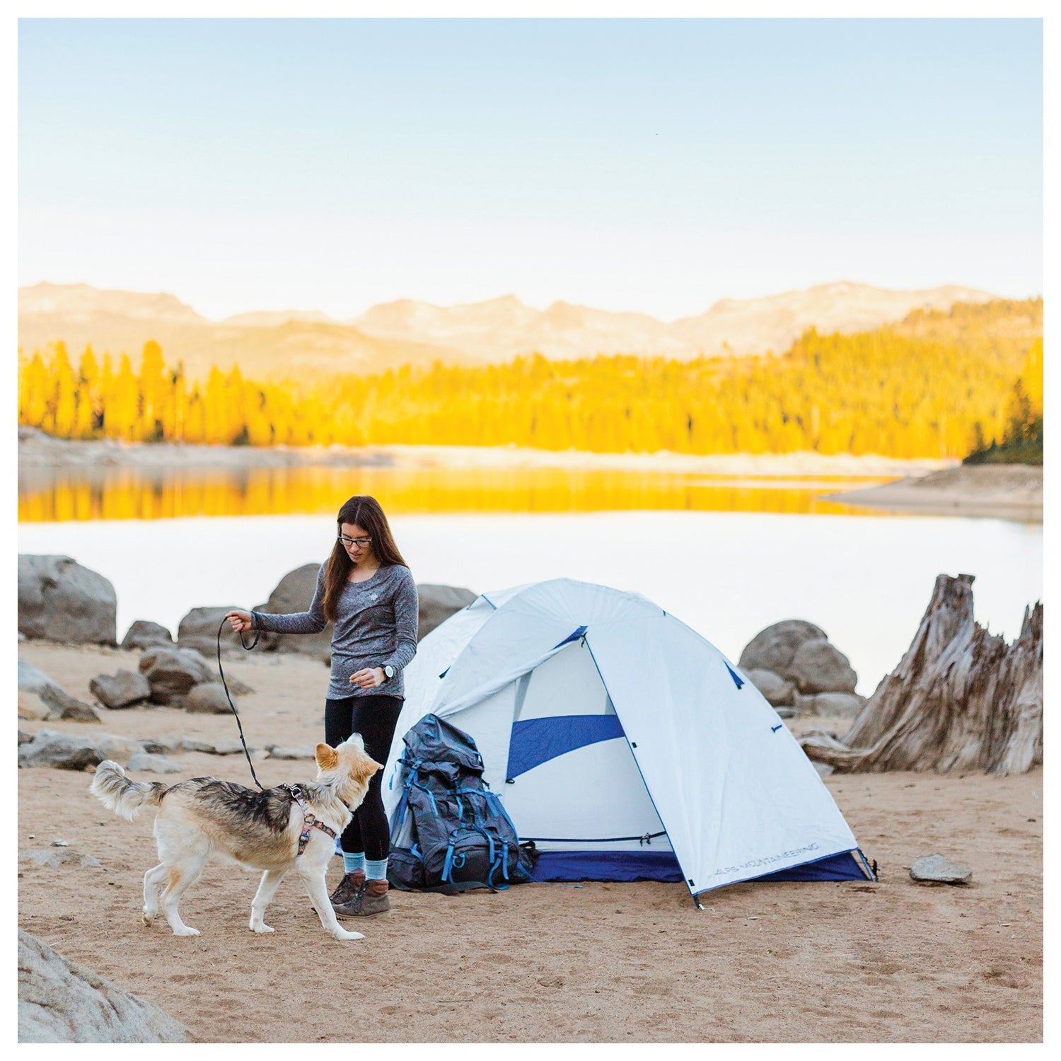 ALPS Mountaineering Lynx 2 Tent