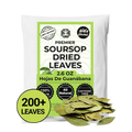 200+ Dried Soursop Leaves 2.6 oz – Graviola Herbal Tea | Akshit