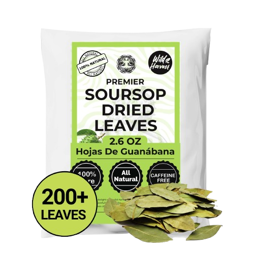 200+ Dried Soursop Leaves 2.6 oz – Graviola Herbal Tea | Akshit