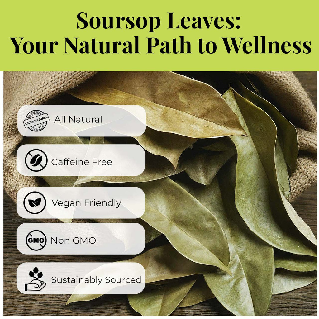 200+ Dried Soursop Leaves 2.6 oz – Graviola Herbal Tea | Akshit