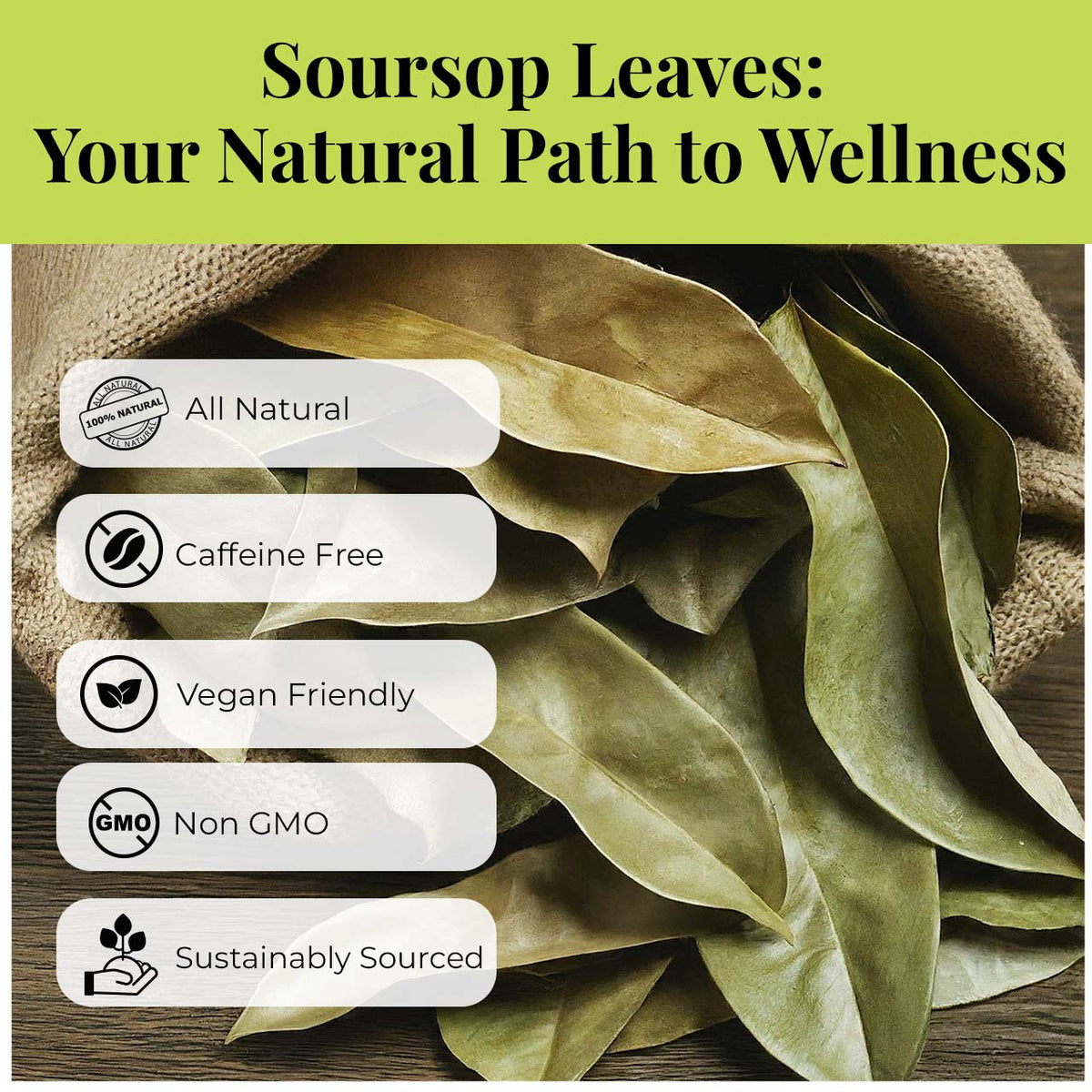 200+ Dried Soursop Leaves 2.6 oz – Graviola Herbal Tea | Akshit
