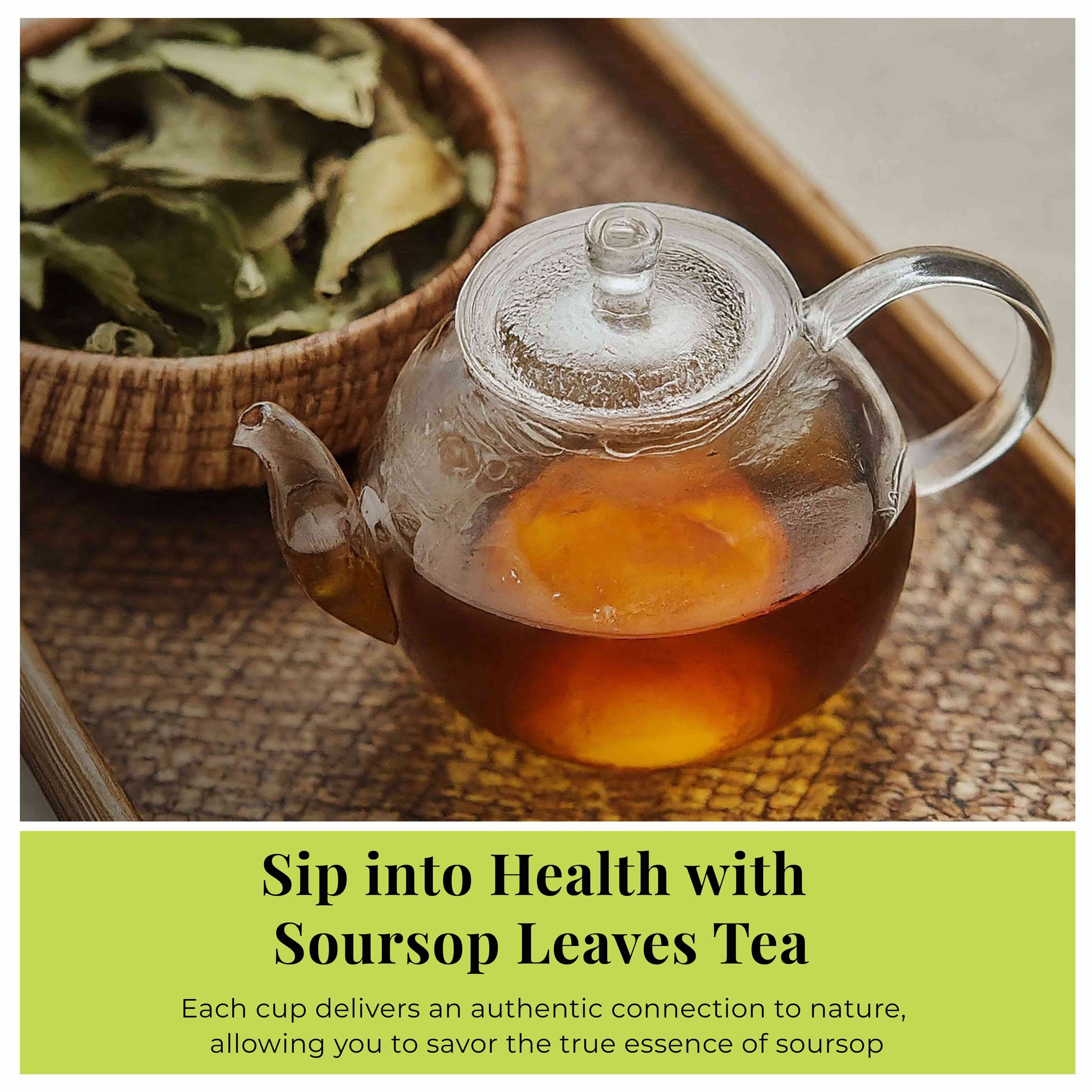 200+ Whole Dried Soursop Leaves – 2.6 oz , 100% Natural Soursop Tea (Graviola Leaves), Caffeine-Free Herbal Tea (Hoja Guanabana)