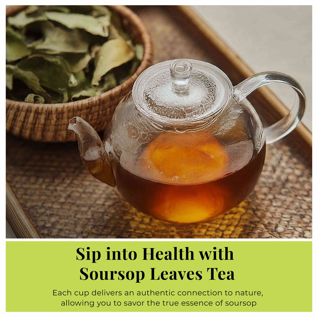 200+ Dried Soursop Leaves 2.6 oz – Graviola Herbal Tea | Akshit