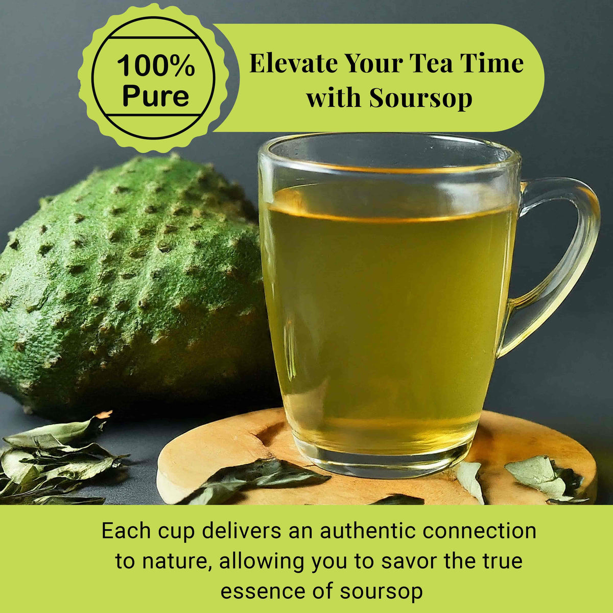 200+ Dried Soursop Leaves 2.6 oz – Graviola Herbal Tea | Akshit